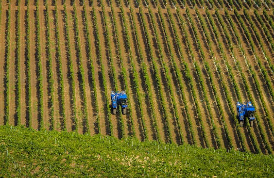 CR machine harvesting